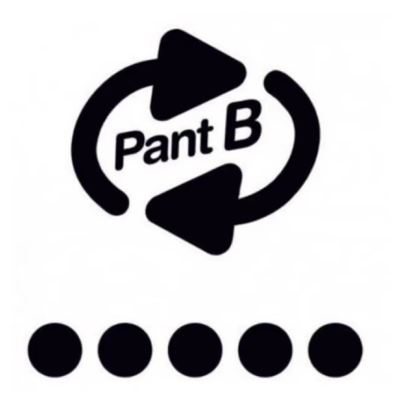 PANT B